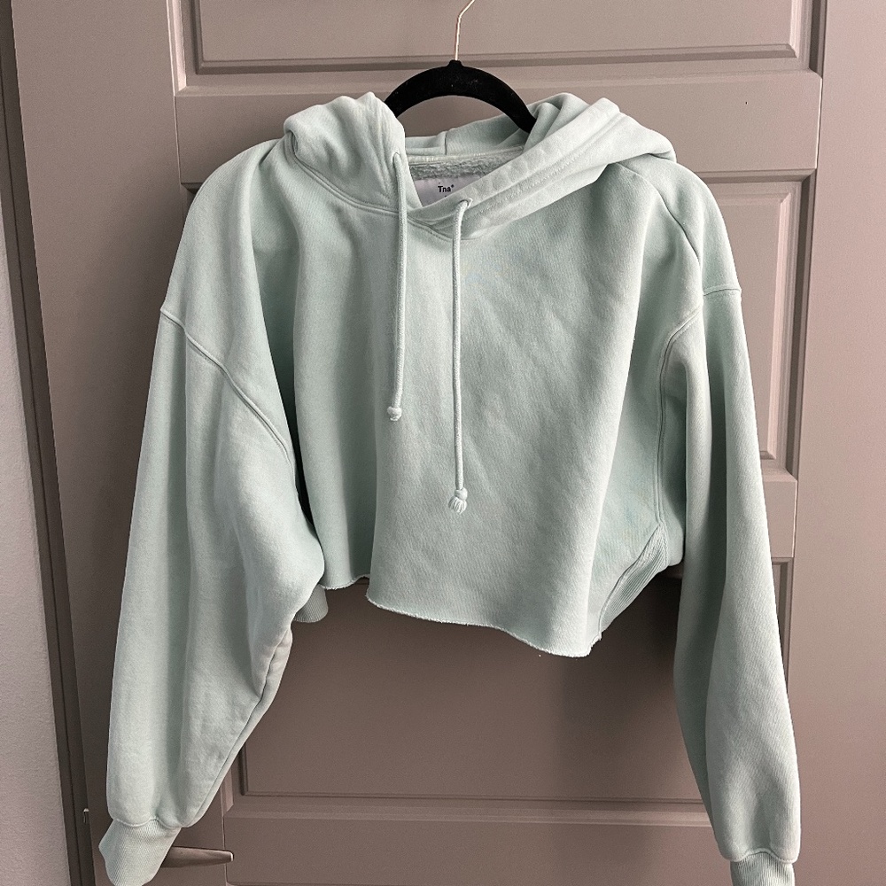 ARITZIA TNA CROP HOODIE